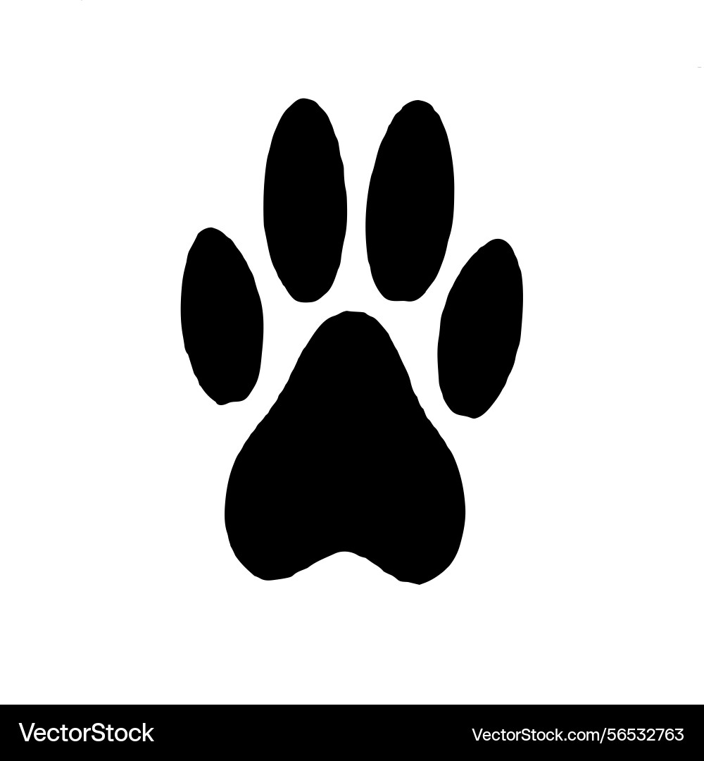 Paw print image Vector Image