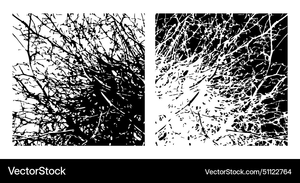Background bare tree branches not ai Vector Image