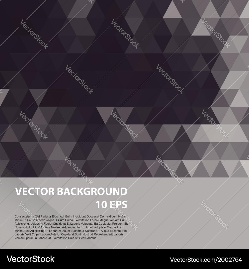 Modern Geometric Pattern Background Vector Image