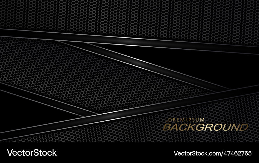 A dark background with textured mesh frame vector image