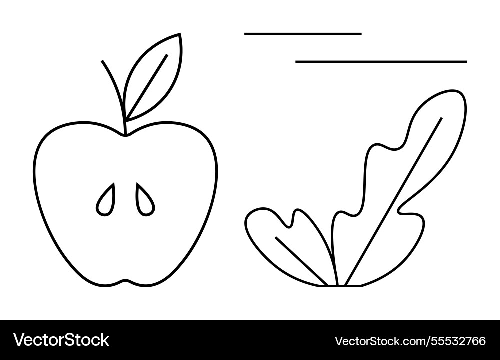 Minimalistic apple and leaf with horizontal lines Minimalistic apple and leaf with horizontal lines Vector Image