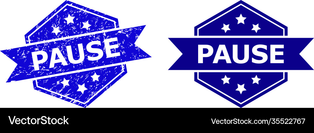 Hexagonal pause seal with rubber texture and clean Vector Image