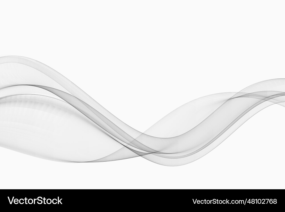 Grey color waveabstract transparent flow on white Grey color waveabstract transparent flow on white vector image