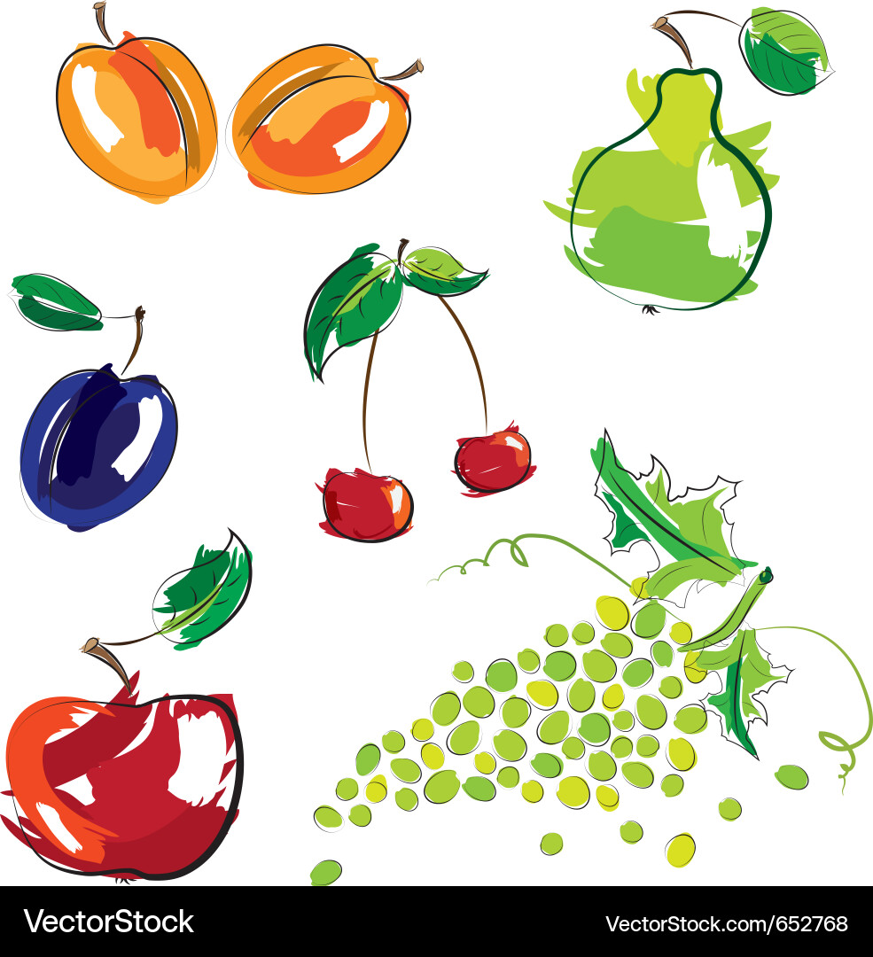 Hand drawn fruit Royalty Free Vector Image - VectorStock