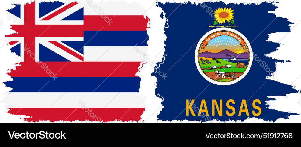 Kansas and hawaii states grunge brush flags Kansas and hawaii states grunge brush flags vector image
