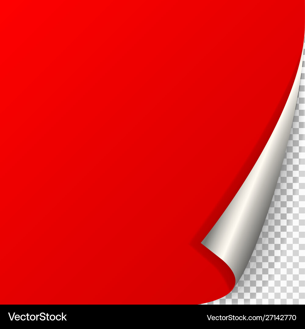 Page curl with shadow vector image