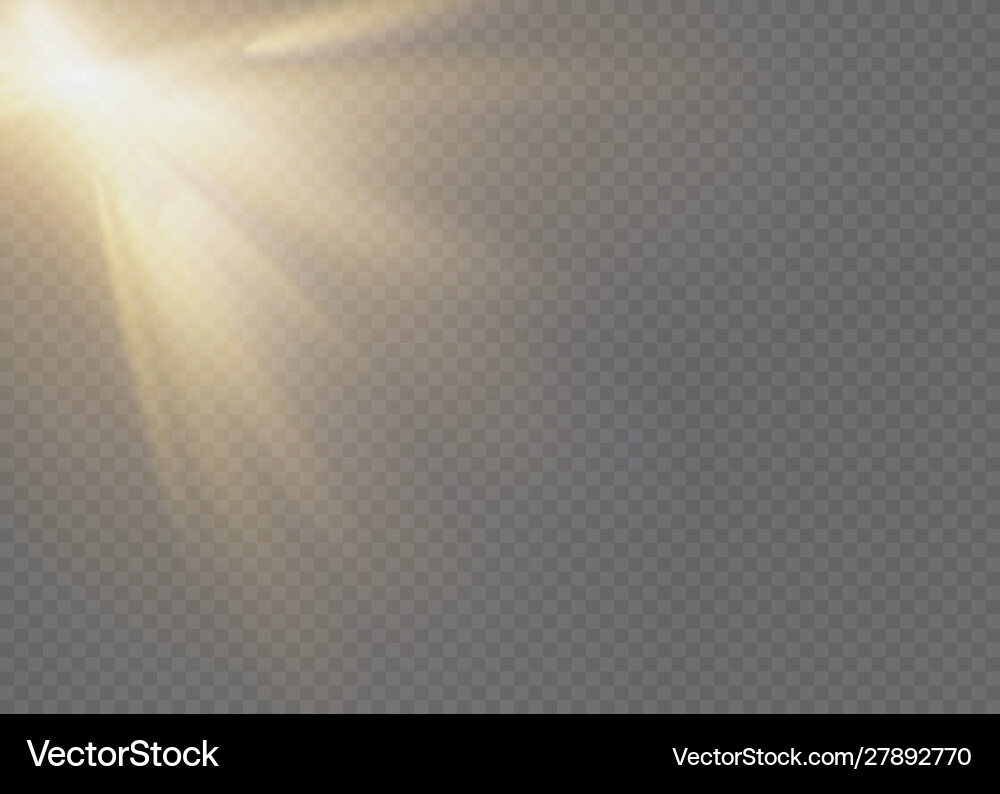 White glowing light explodes on a transparent White glowing light explodes on a transparent vector image