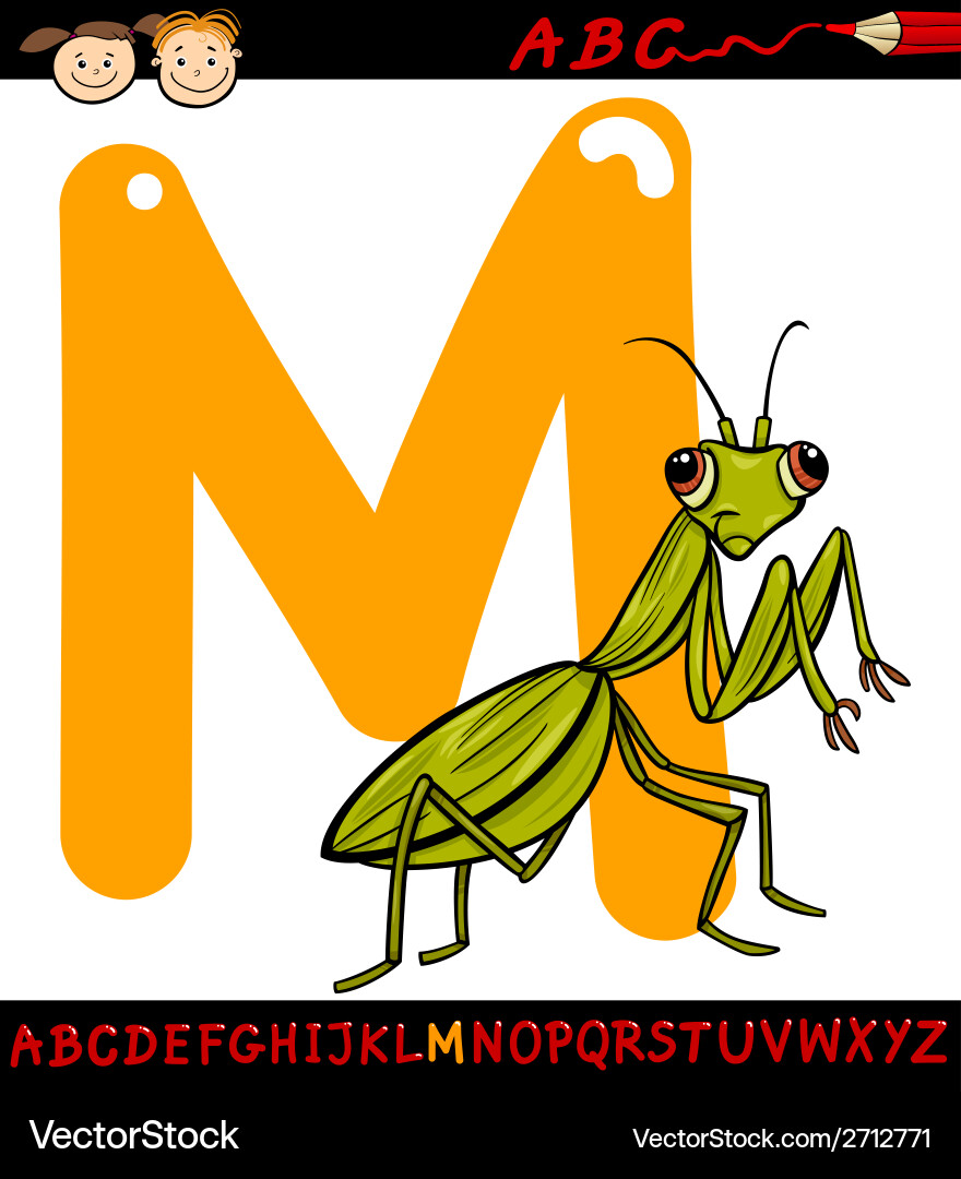 Letter m for mantis cartoon Royalty Free Vector Image