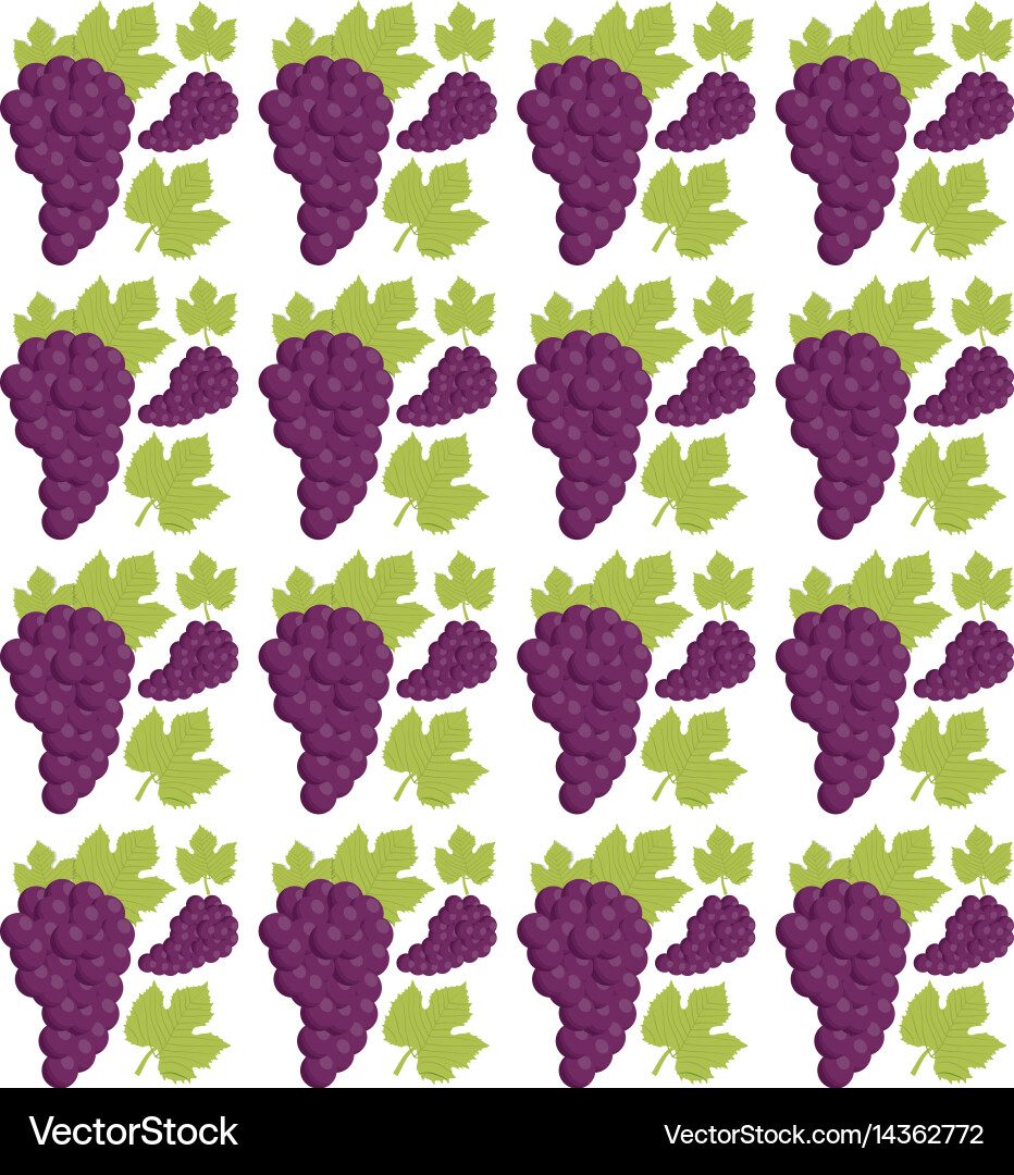 Grape seamless pattern design vector image