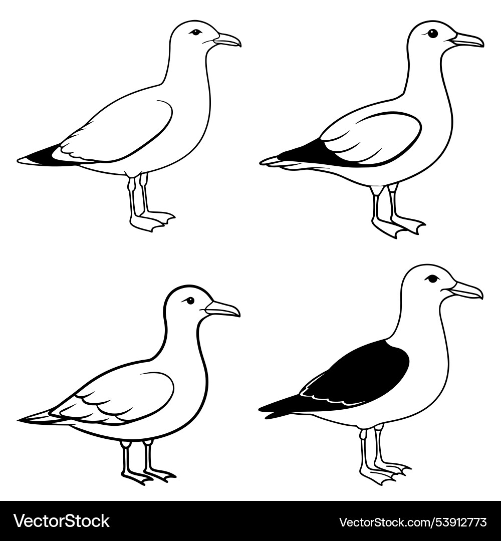 3d rendering of dynamic gull silhouette line art Vector Image
