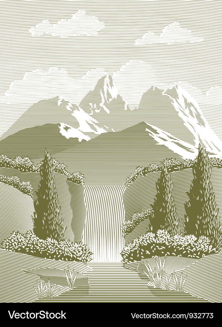 Mountain Stream Waterfall vector image