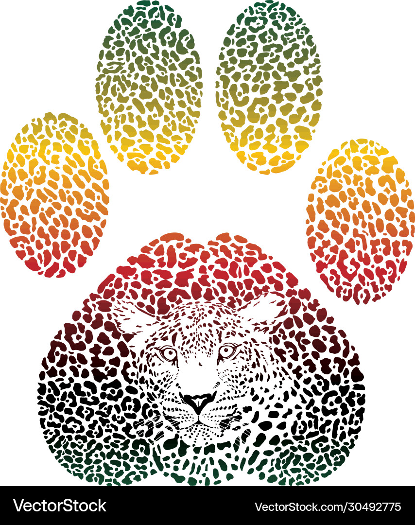 Leopard color footprint vector image
