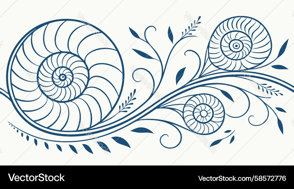 Ornate Snail Shell Pattern Vector Image