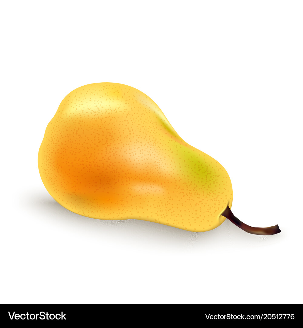 Pears path isolated Vector Image