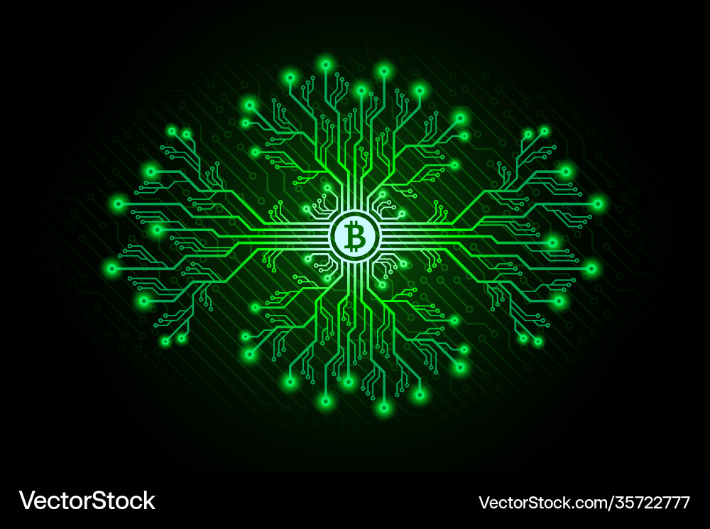 Bitcoin Circuit Board Mining vector image