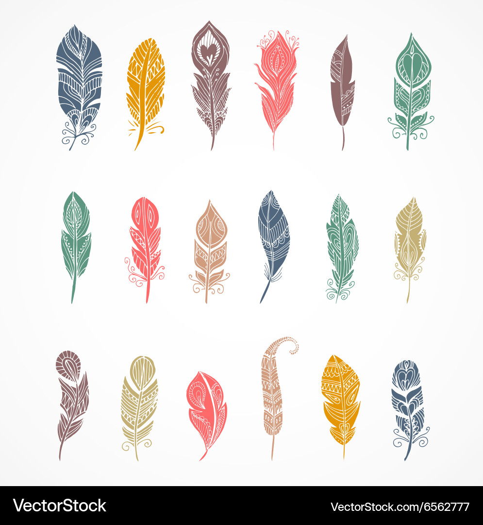 Bohemian Feather Set vector image