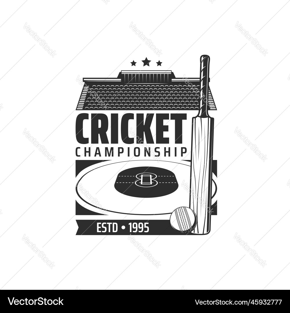 Cricket sport stadium and field retro icon Vector Image