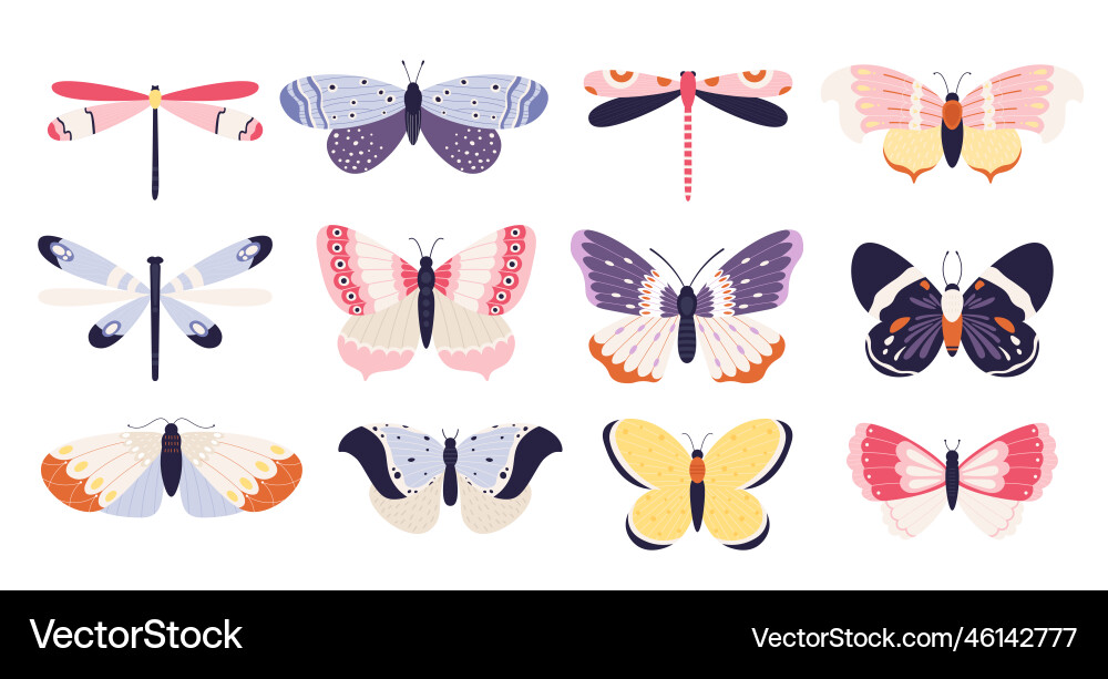 Cute butterflies collection insects with colored Cute butterflies collection insects with colored vector image