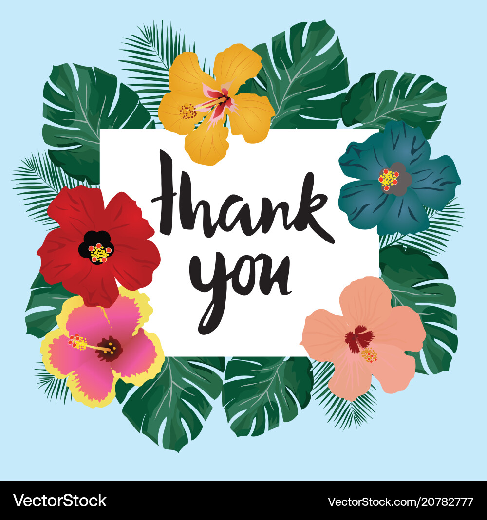 Thank you card Thank you card vector image
