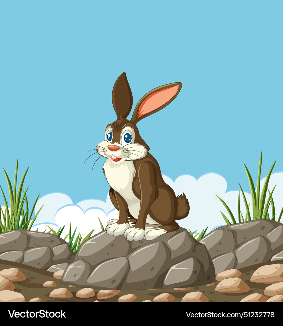 A rabbit sitting on stones outdoors Royalty Free Vector