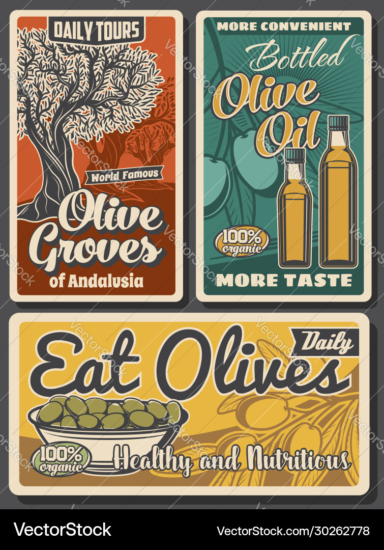 Olive trees with oil bottles and green fruits Olive trees with oil bottles and green fruits vector image