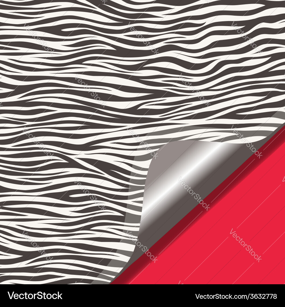 Zebra texture and red background vector image