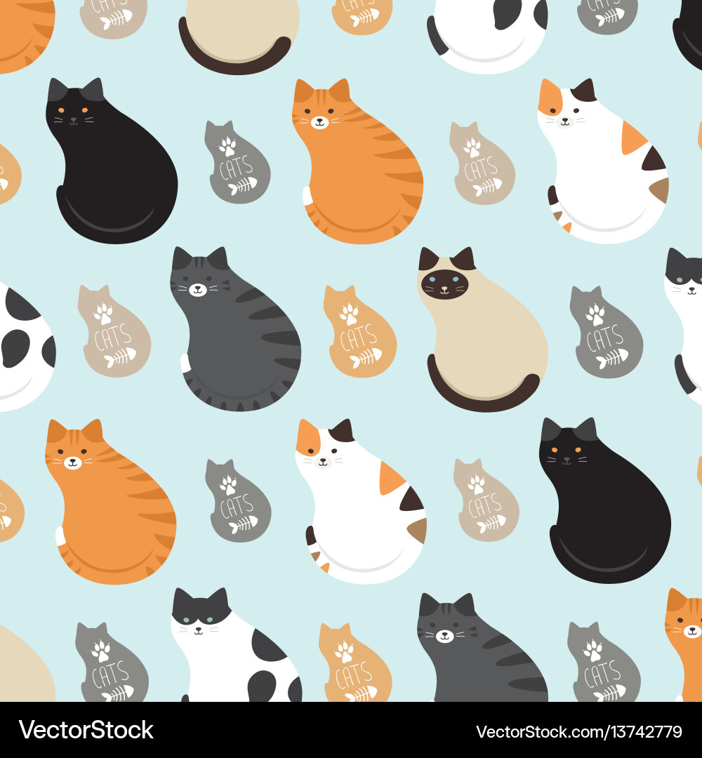 Charming Cat Pattern vector image