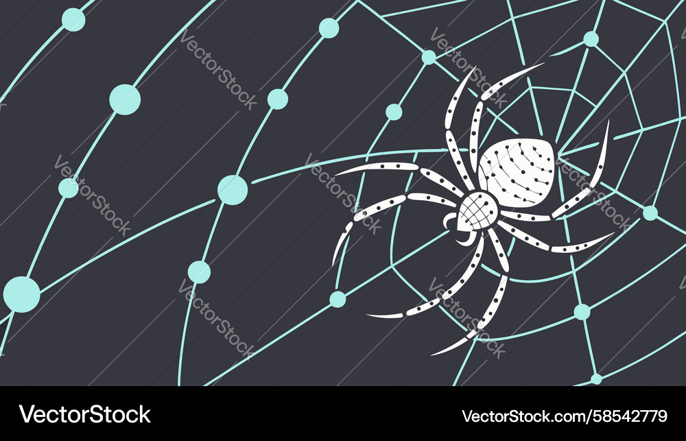 Cybersecurity Network Web Vector Image