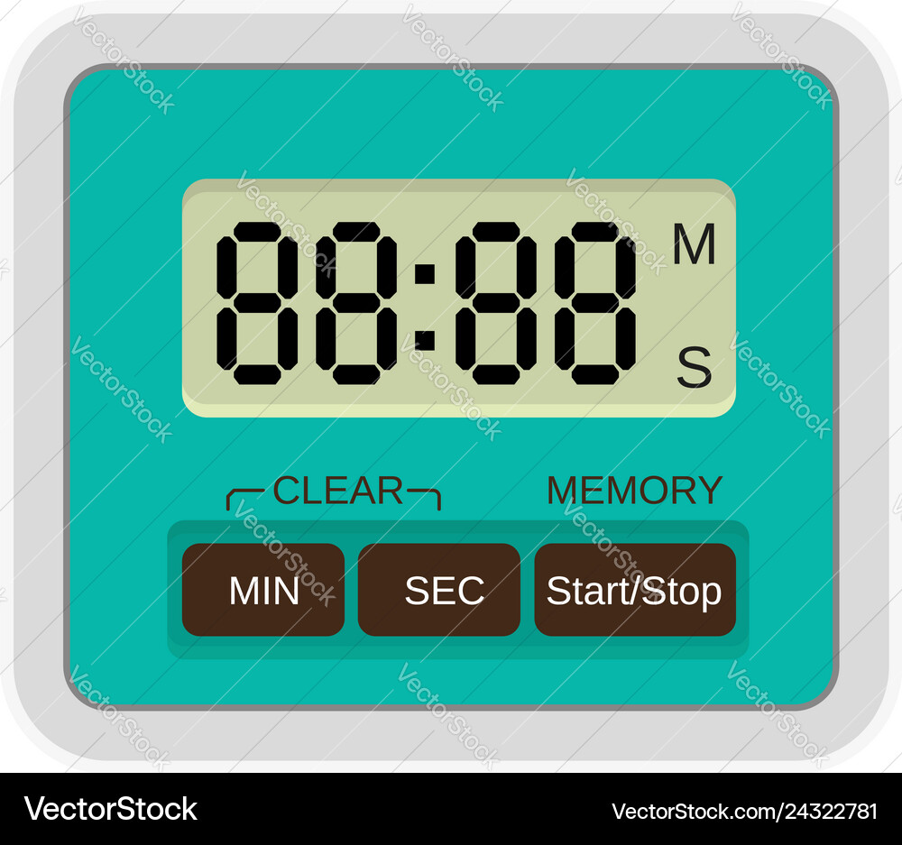 Digital timer icon flat style Digital timer icon flat style vector image