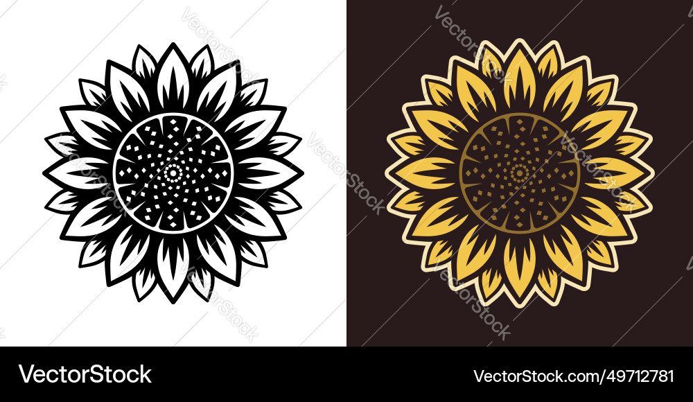 Sunflower object or graphic element in two Sunflower object or graphic element in two vector image