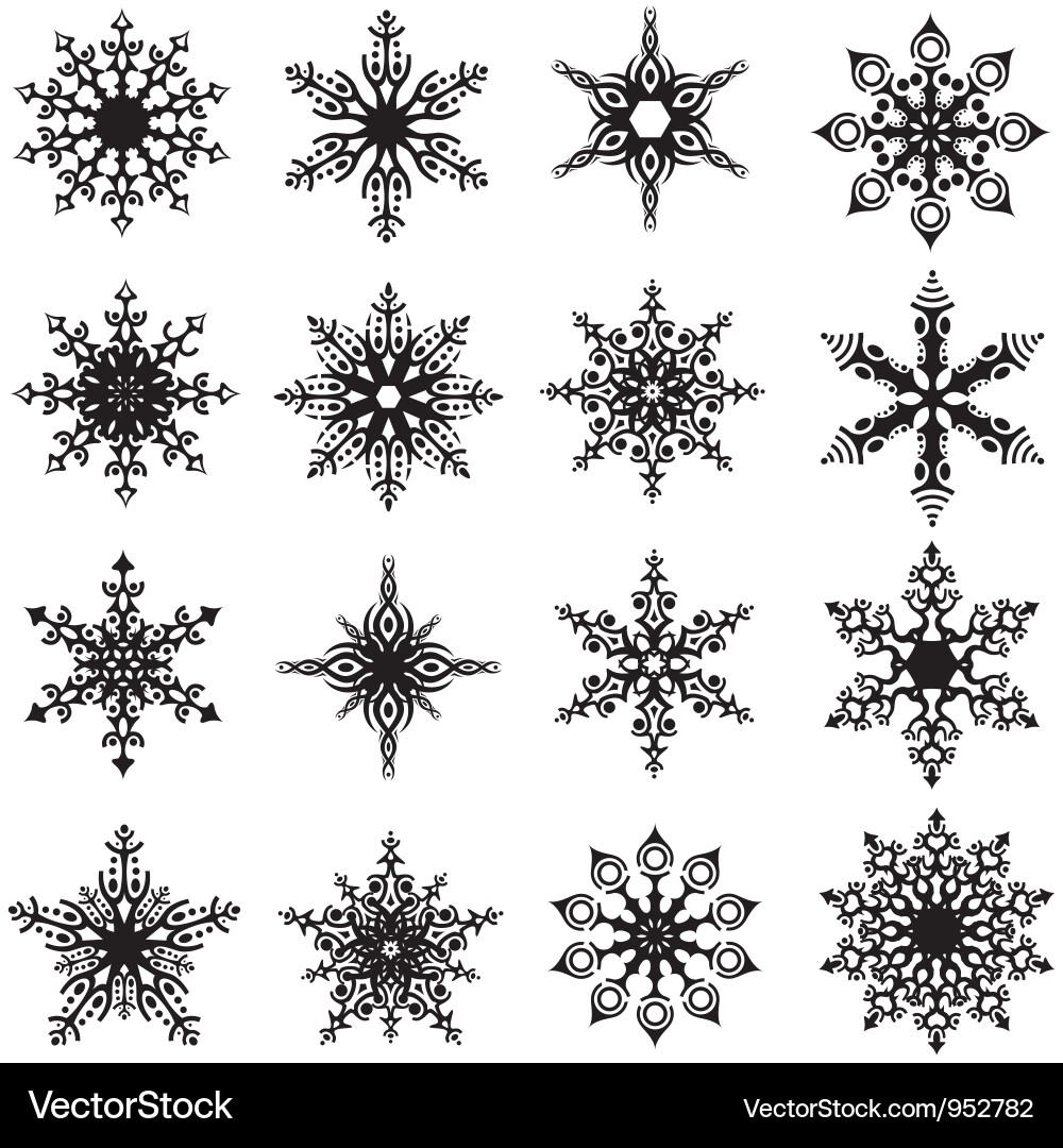 Elegant Snowflake Collection Vector Image