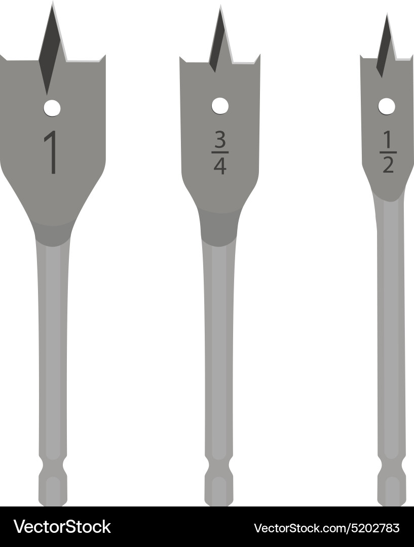 Drill bit set Vector Image
