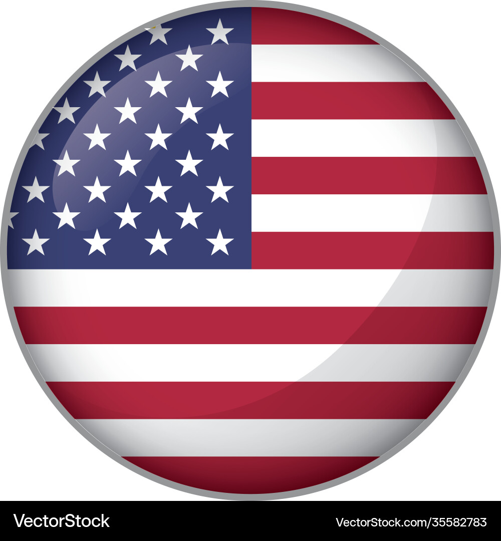 Icon representing round button usa flag Icon representing round button usa flag vector image