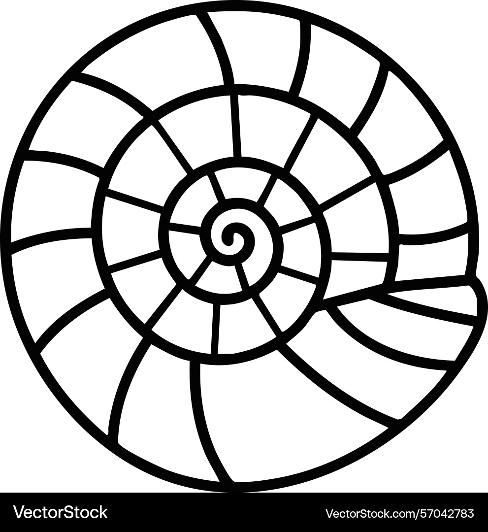 Nautilus shell spiral line art for design vector image
