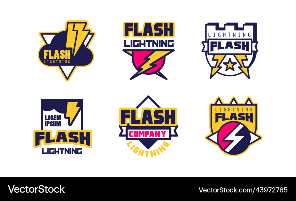 Flash and lightning company badge or label Flash and lightning company badge or label vector image