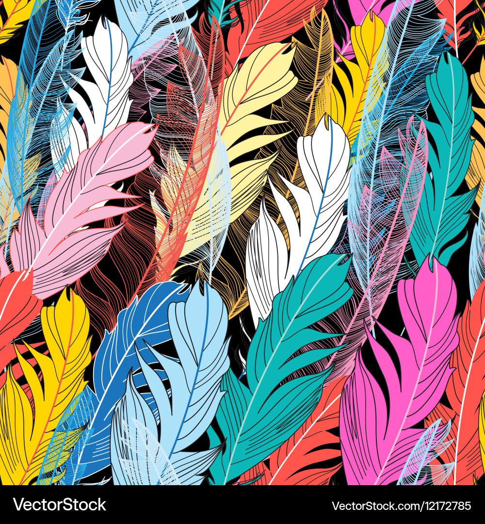 Graphic pattern multicolored feathers Vector Image