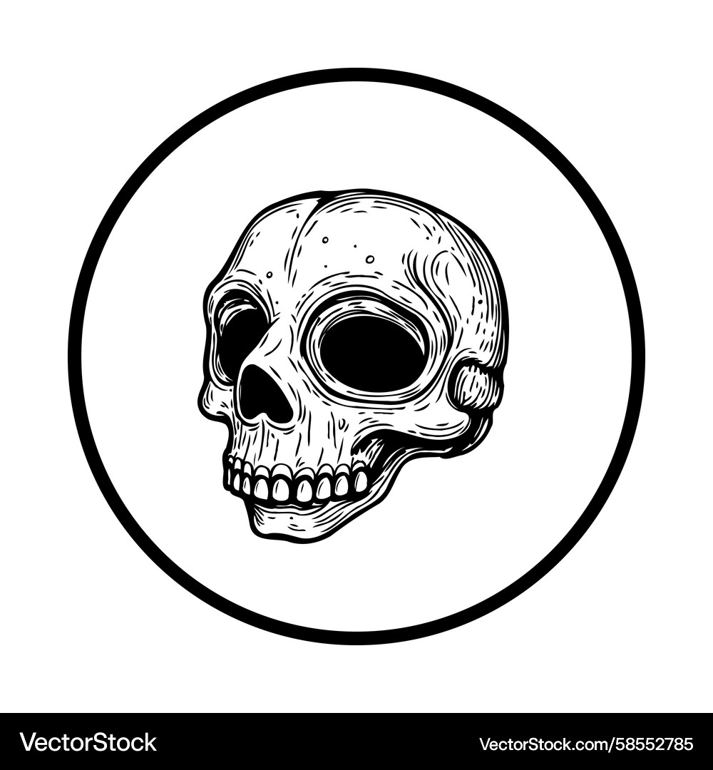 Intricate Skull within Circular Frame Vector Image