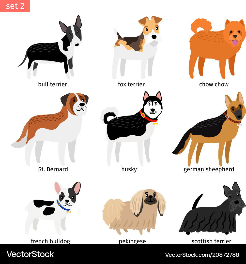 Cartoon Dog Breed Icons Vector Image