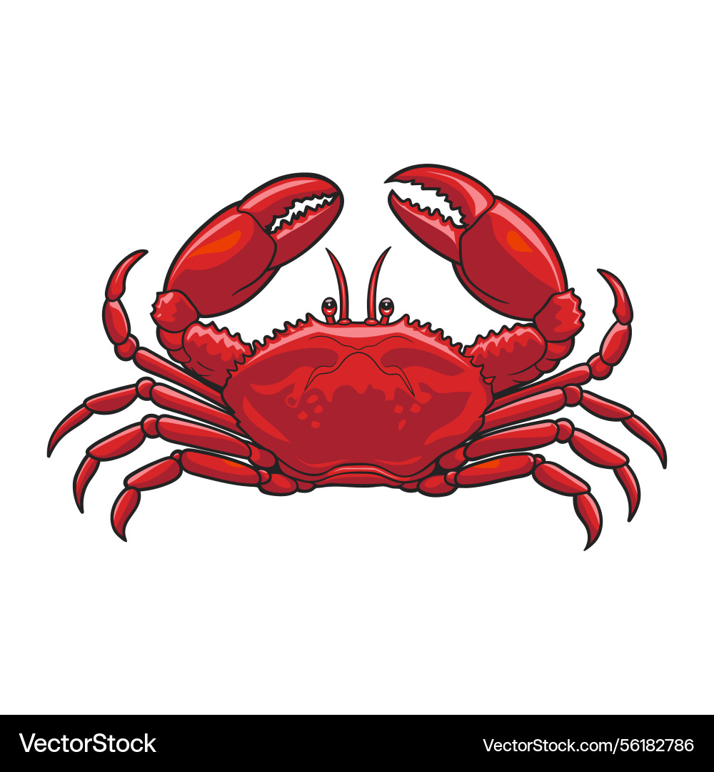 Crab with sharp claws and segmented legs Crab with sharp claws and segmented legs vector image