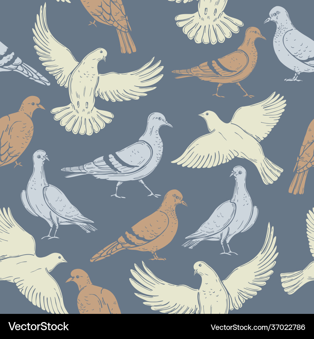 Doves pattern vector image