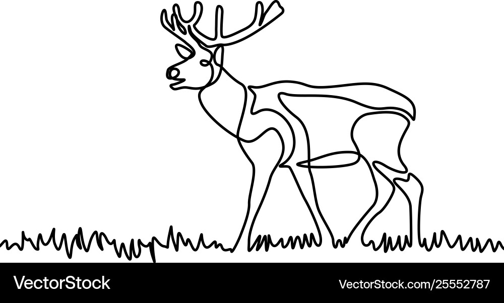 Continuous line elk standing in grass Continuous line elk standing in grass vector image