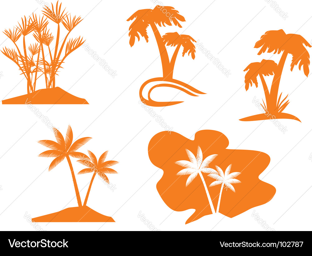 Palm tree set Royalty Free Vector Image - VectorStock
