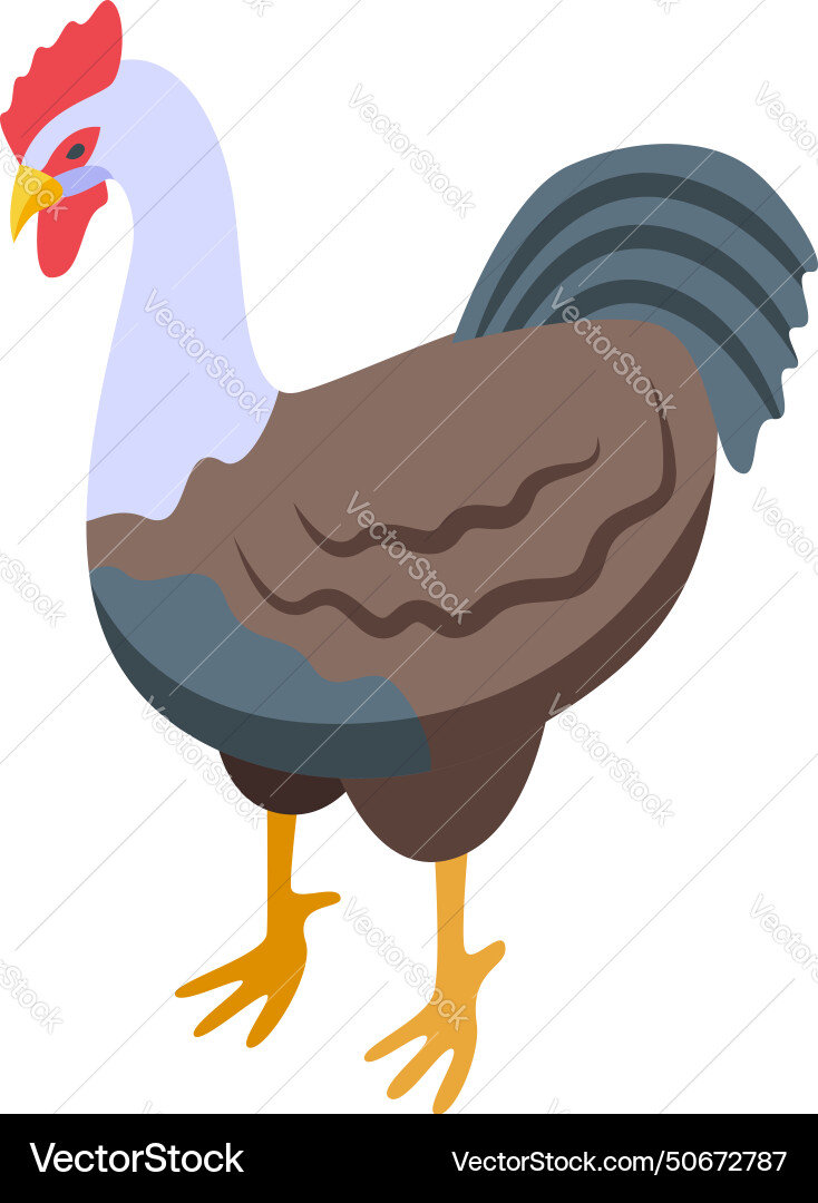 Rooster bird icon isometric farm chicken Rooster bird icon isometric farm chicken vector image