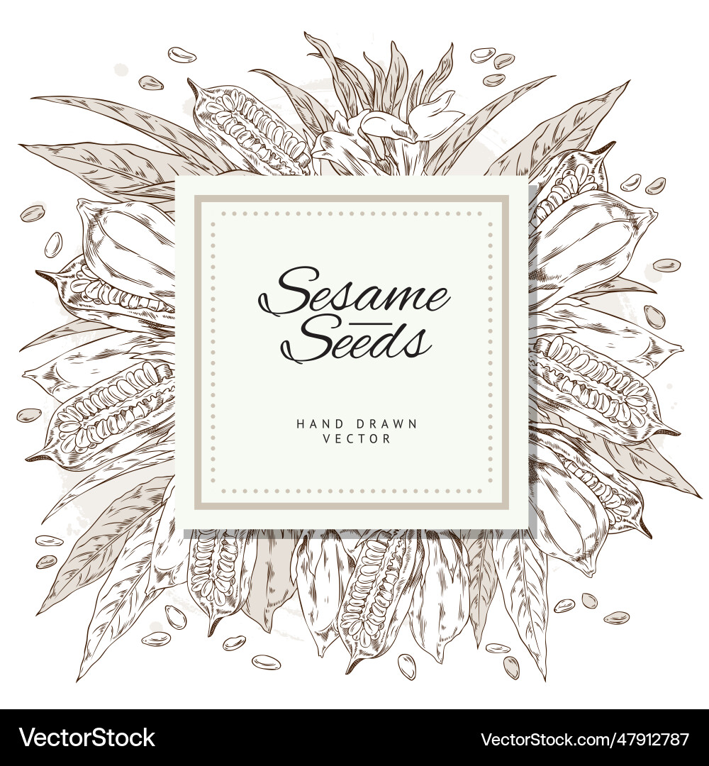 Template label design with contour sketch Vector Image