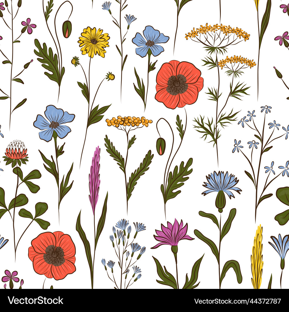White seamless background with multicolored Vector Image