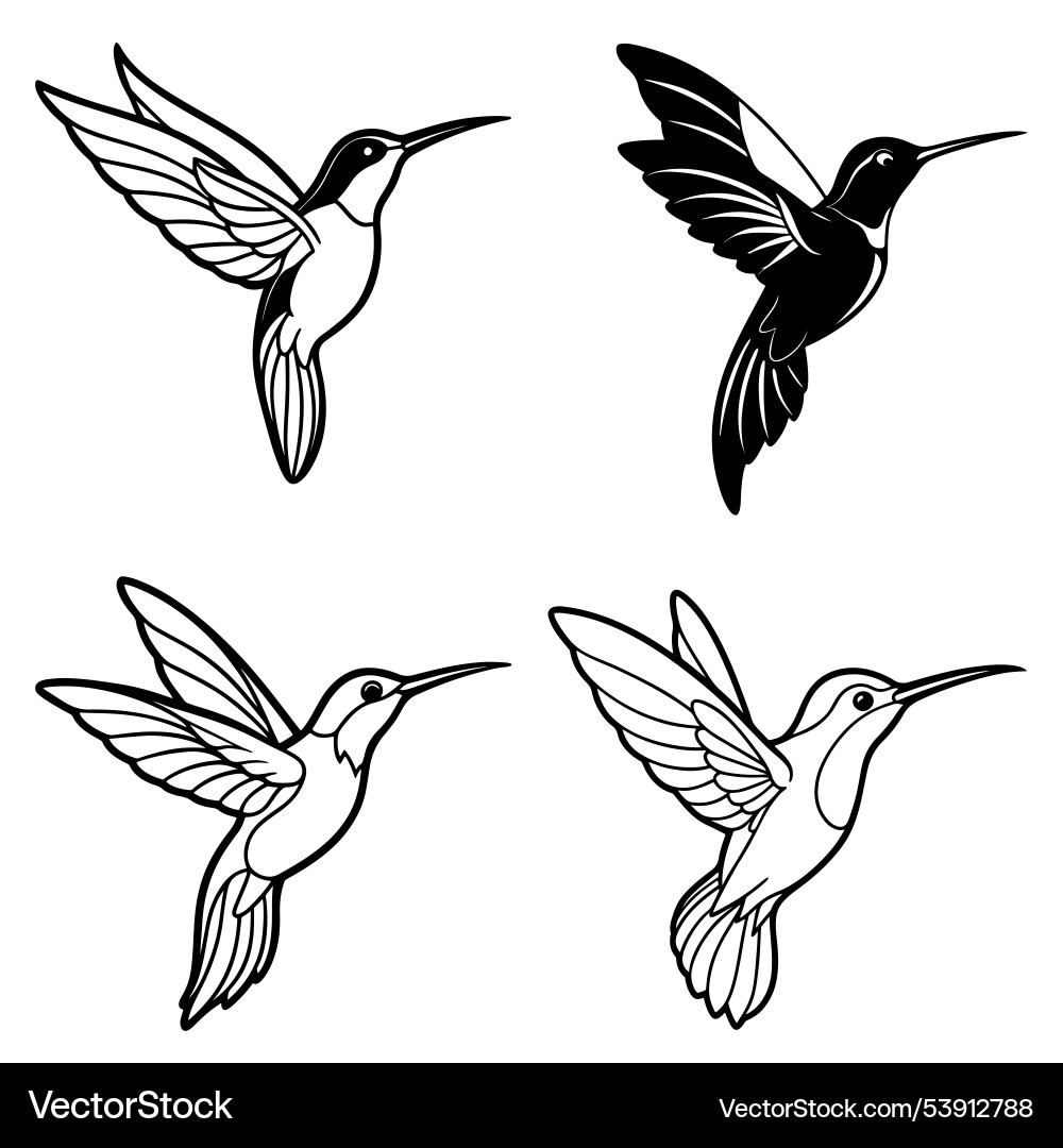 3d rendering of dynamic hummingbird silhouette Vector Image
