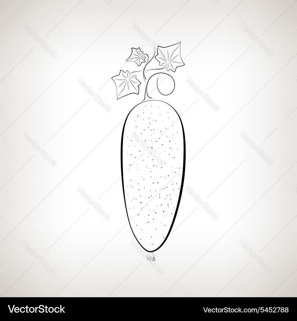 Cucumber in the contours on a light background vector image