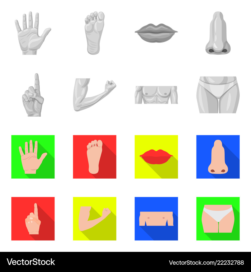 Isolated object of human and part sign set Isolated object of human and part sign set vector image