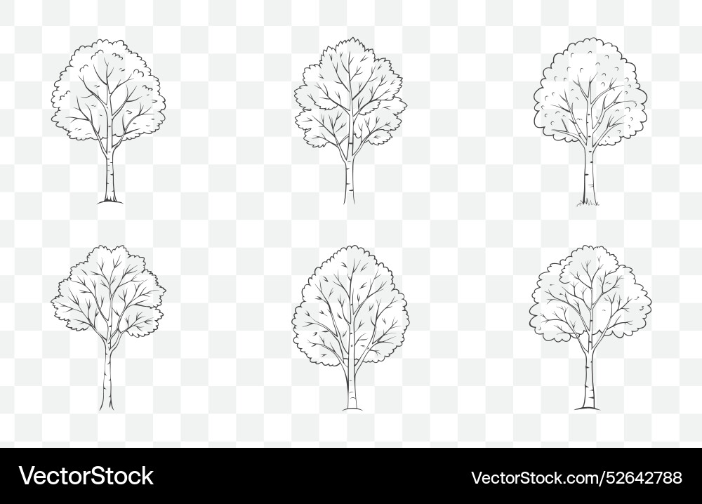 Print aspen tree line art set with detailed vector image