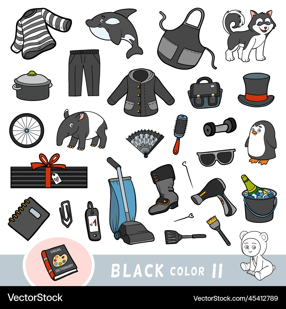 Black Color Objects Visual Set vector image